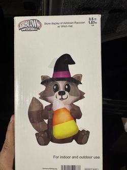 Inflatable Raccoon with a Witch Hat