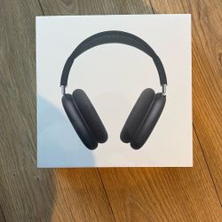 Apple AirPods Max USB - C