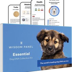 Dog Dna “Wisdom Panel”