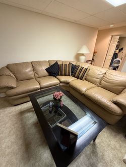 Natuzzi Leather Couch