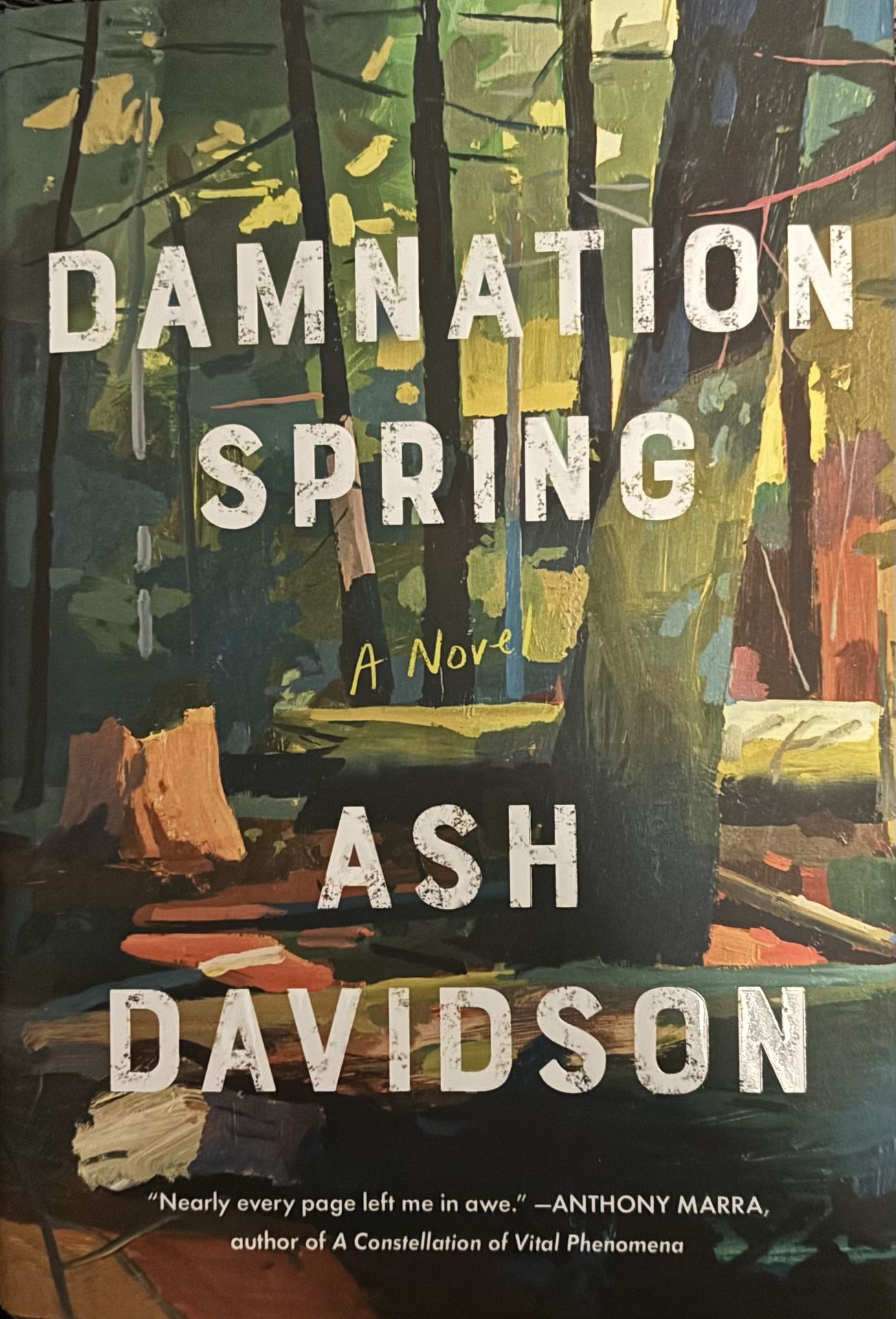 Damnation Spring