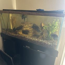 130+ Gallon Fish Rank
