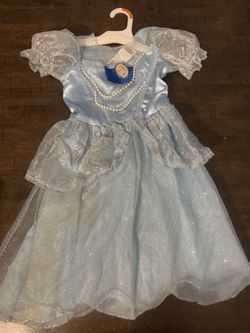 Cinderella costume