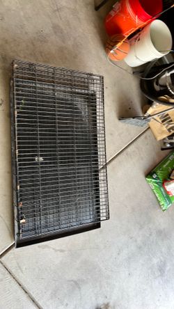 dog kennel