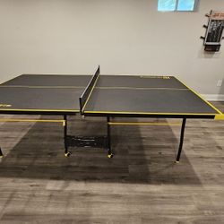 Ping Pong Table