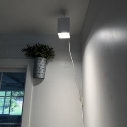 plant light