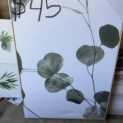 Canvasses miscellaneous prices in pics