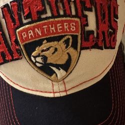 Florida Panthers Swag I Have All The Best Stuff, This Brand New Hat, Few Left, Buy To Watch The Watch Party  Or Game Tomorrow 