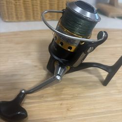 Fishing reel