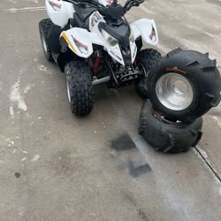 Polaris Predator 50