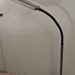 12" Lens  120V Outlet 53-in  Tall Silver Standard With Iight Floor Lamp with Plastic Shade 