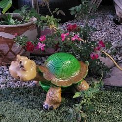 Medium Turtle W/Big Eyes 