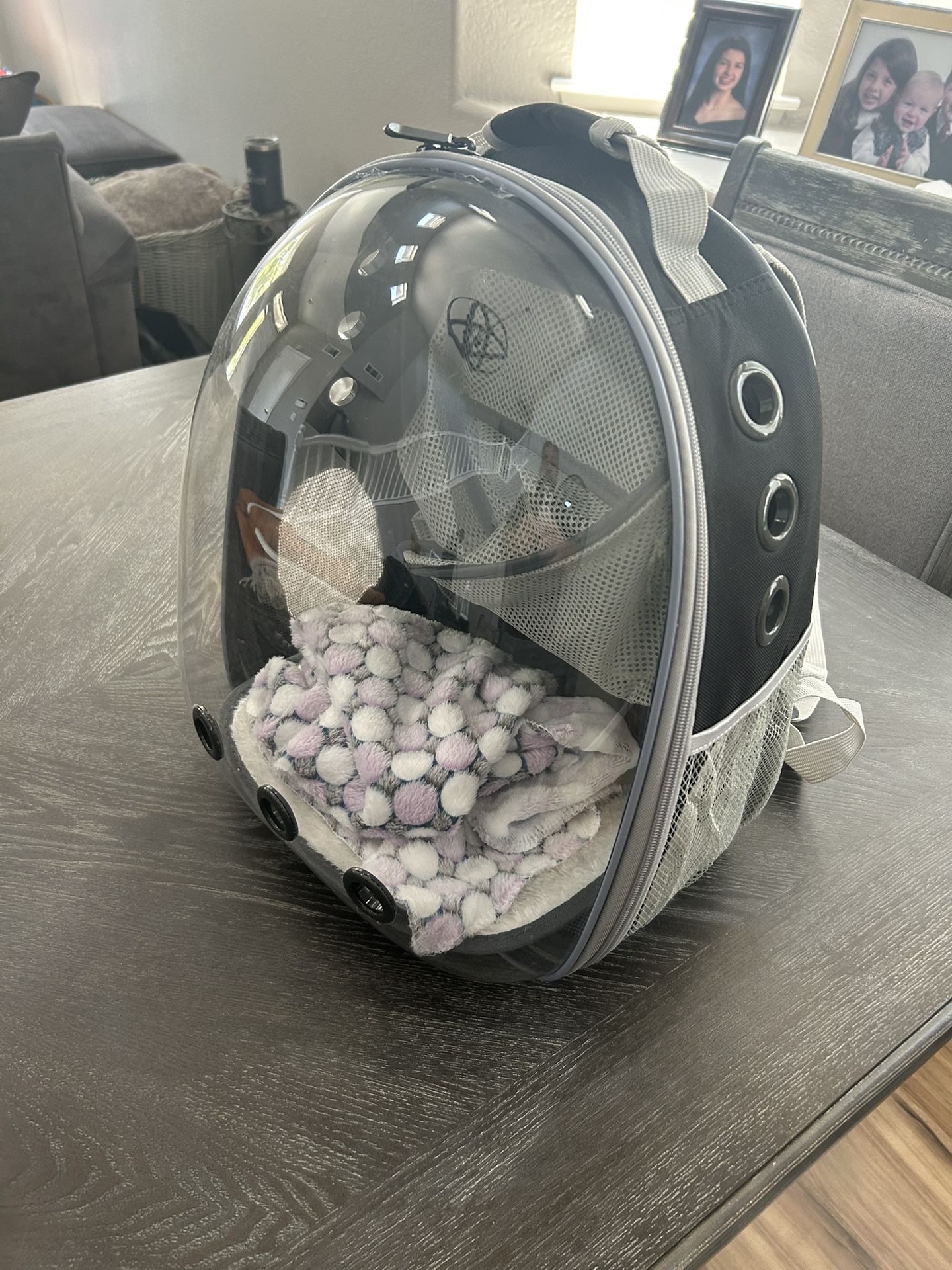 Pet backpack