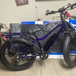 FattE Blectric Bike