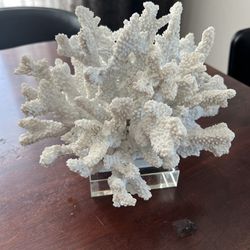 Decorative Faux Rising Coral Nautical Sculpture in Bright White