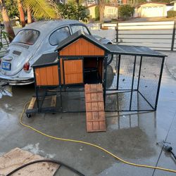 Chicken Coop And Everything You Need To Raise Chicks! 