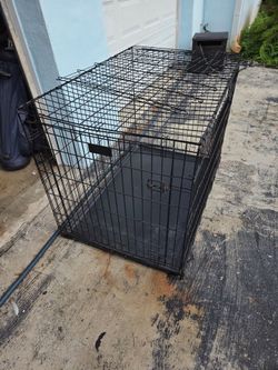 Dog Crate for Large Dog
