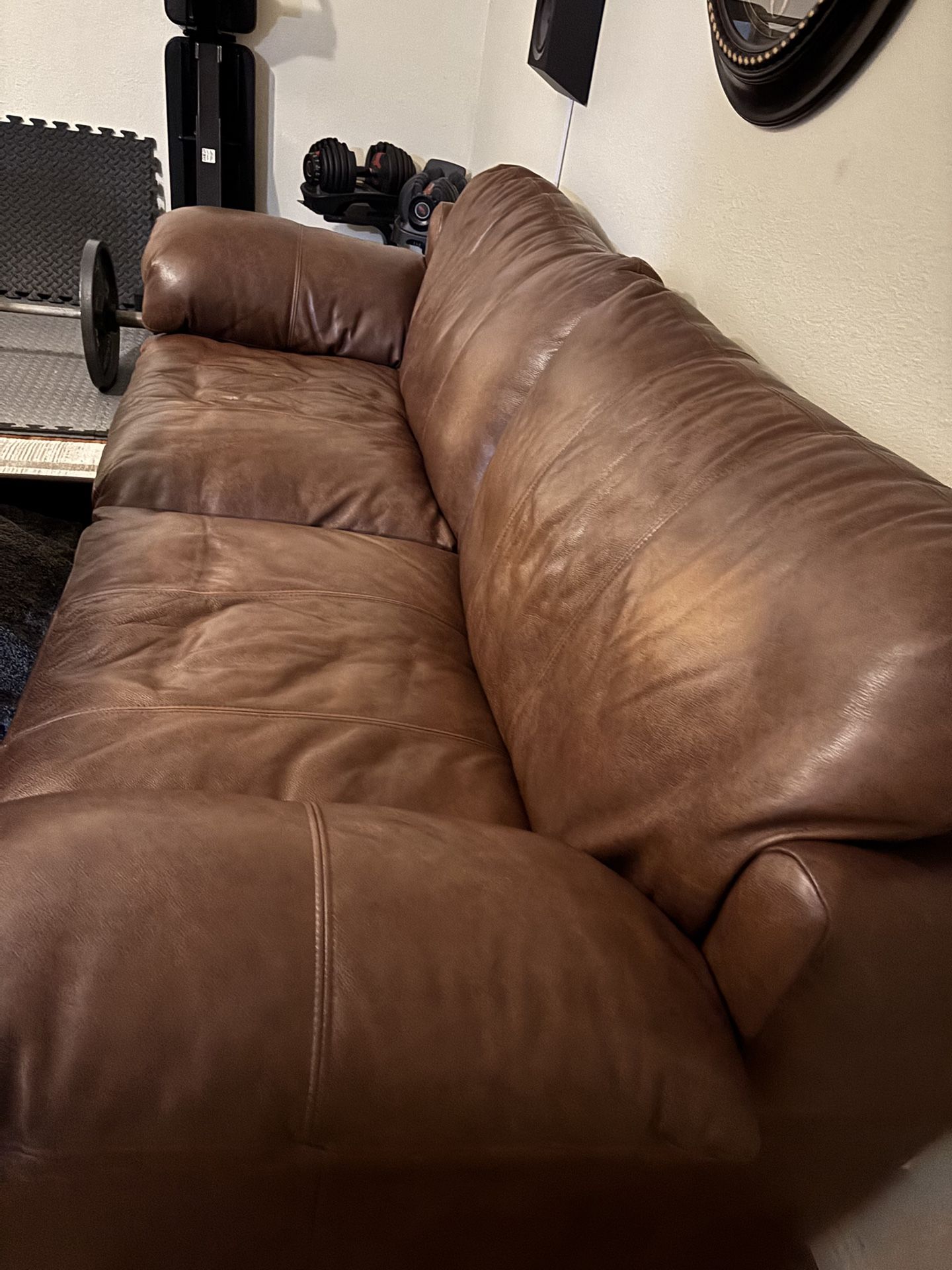 Arizona Leather Couch