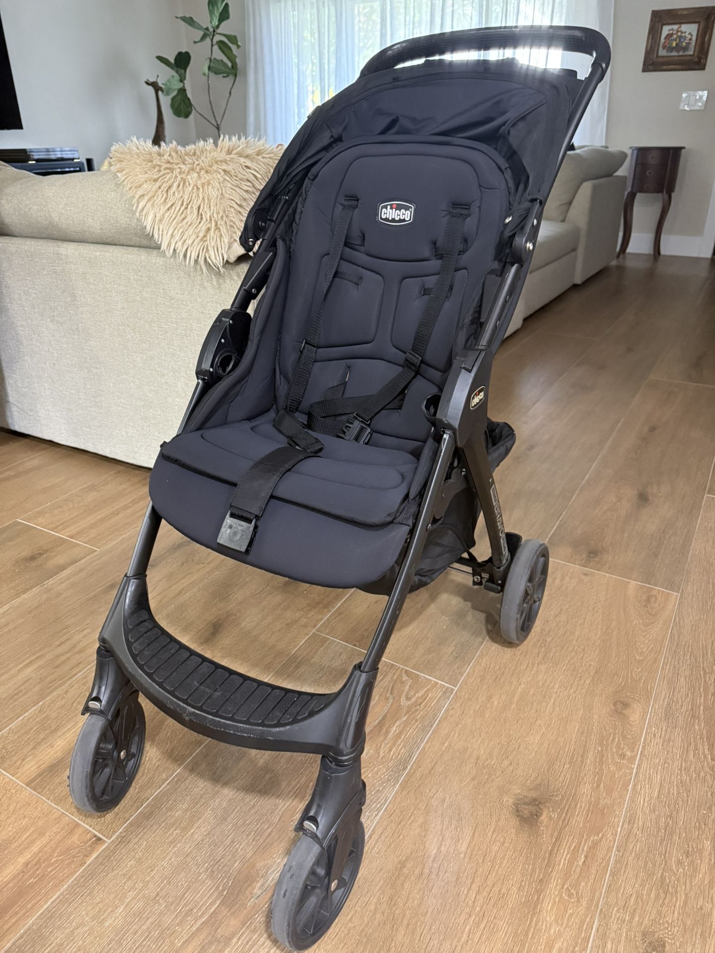 Chicco Mini Bravo Plus