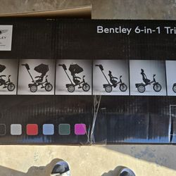 IF YOU SEE IT, IT'S AVAILABLE! Bentley 6 In One Tricycle 