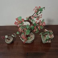 Bonzi tree