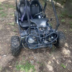 TaoTao GK110 110cc
