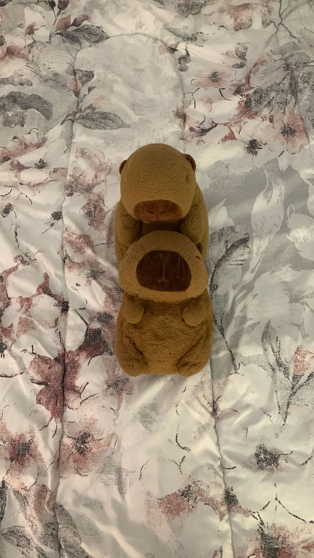 Buy The Capybara Family  And Get A Mystery Free Plush 