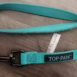 Dog Leash By Top Paw 5'ft Lonh Teal Color