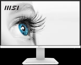 MSI PRO 24" 100Hz 1ms FHD Monitor