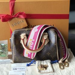 Louis Vuitton Speedy B 20 