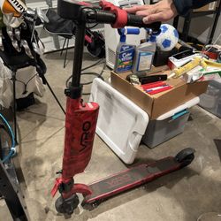Electric Scooter 