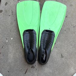 Swim Fins Large