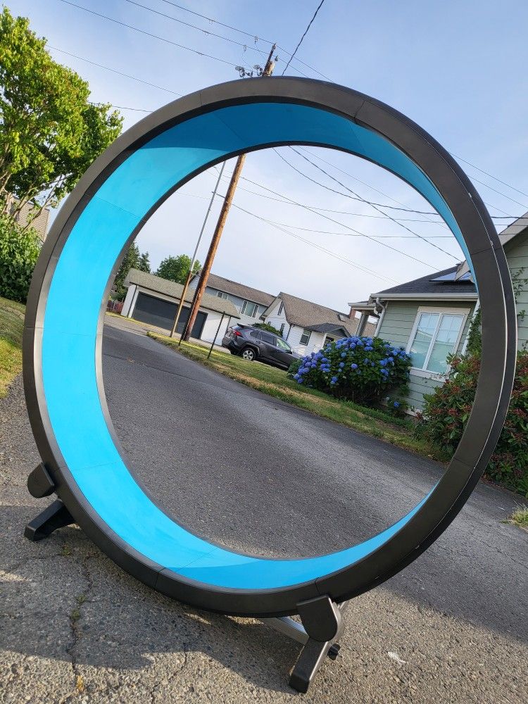 One Fast Cat Exercise Wheel