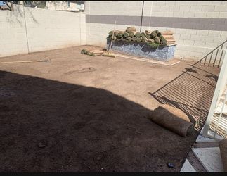 Sod(grass)