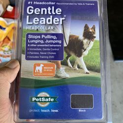 PetSafe Easy walk gentle Leader (leash Training)