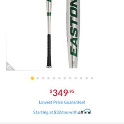 Easton Pro Baseball Bat