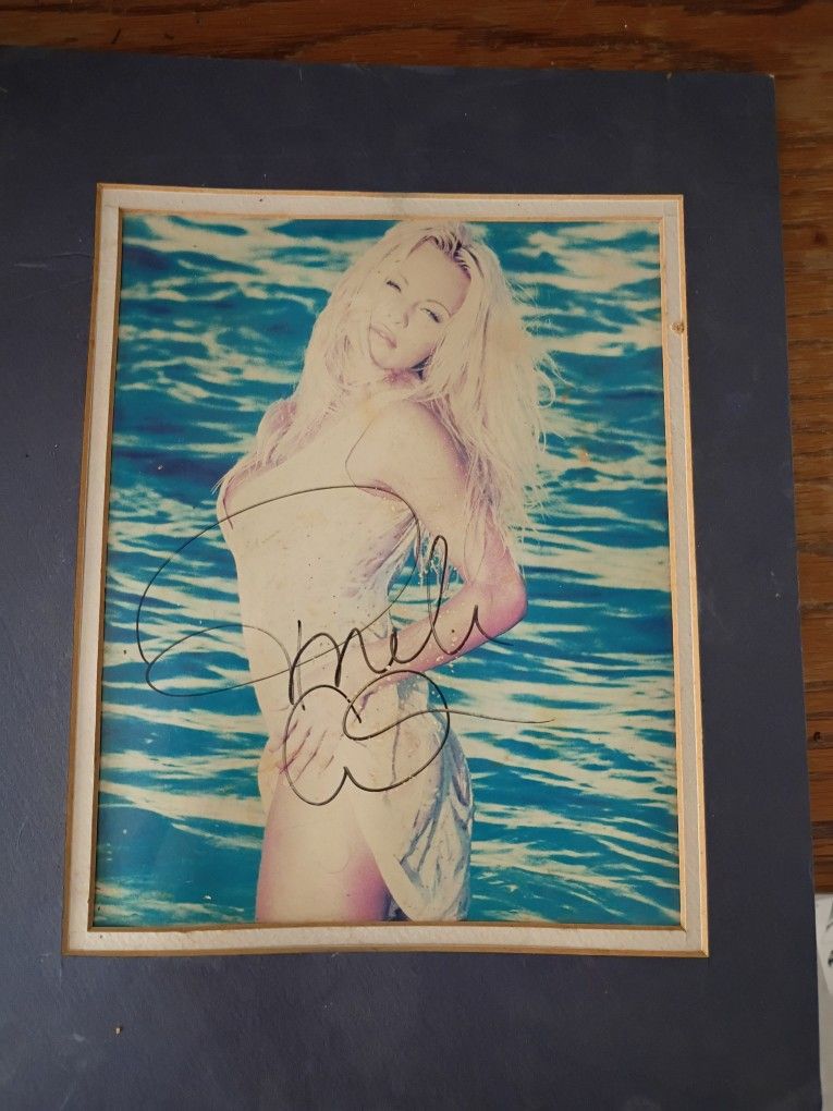 Vintage Pam Anderson Photo