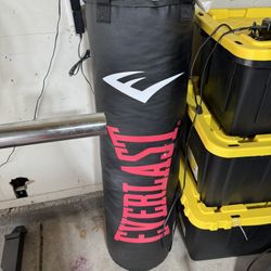 Everlast Heavy Bag Setup