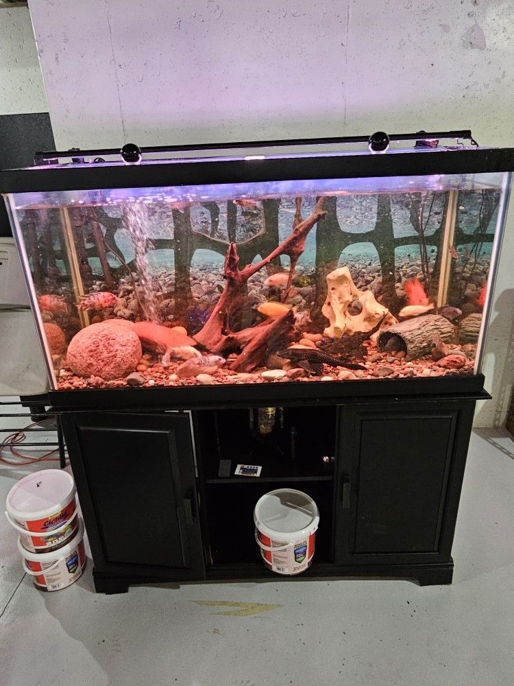 fish tank
