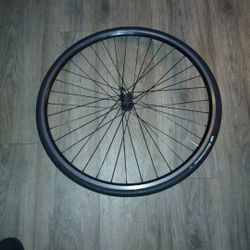 QUICK RELEASE  BIKE TIRE ($35)