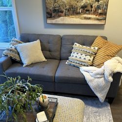 Comfy Small Couch