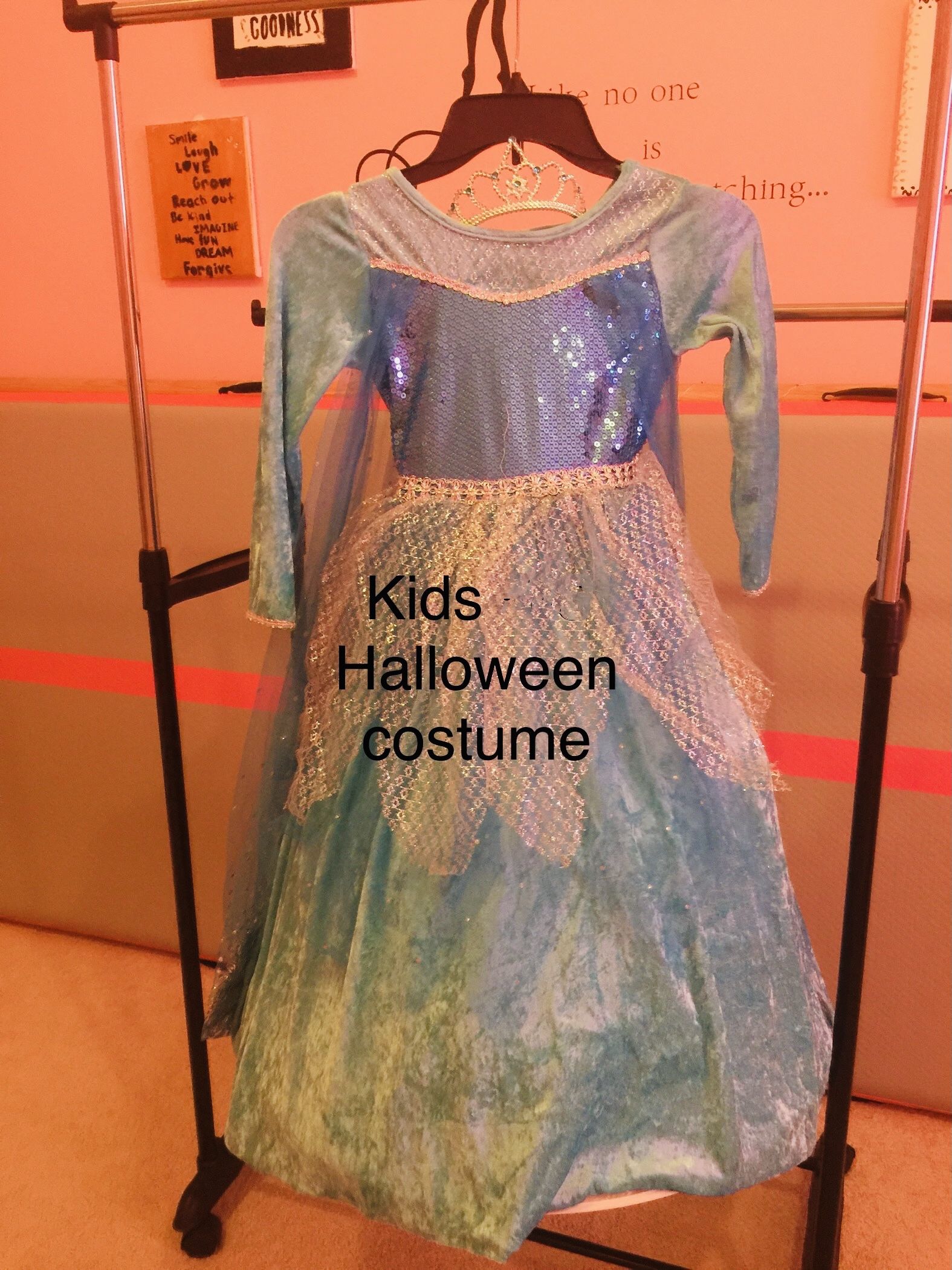 Frozen Princess Elsa Costume/Halloween Costume