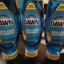 Dawn Dish Soap 