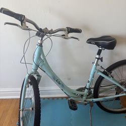 Liv Womens bike size small