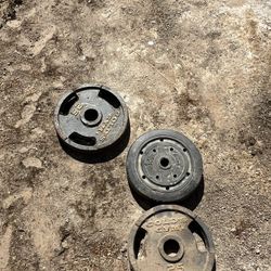 Weights 