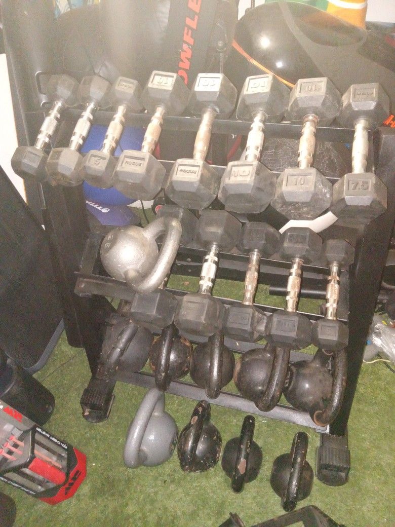 Dumbbells And Rack