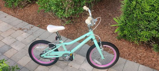 Guardian 16 Inch kids Bike bicycle