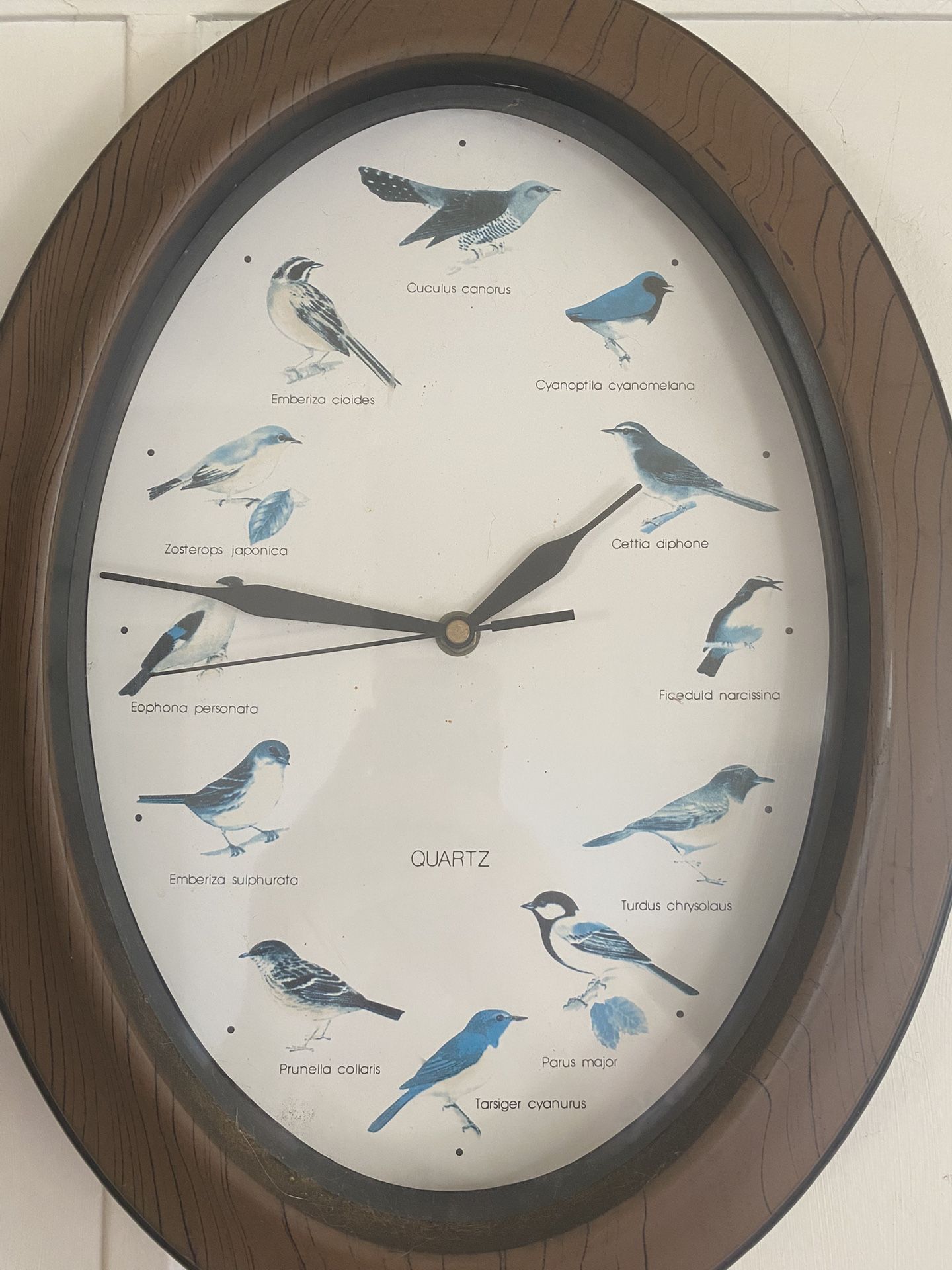 Antique Quartz Bird Clock