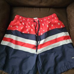 Mens Large Swim Trunks