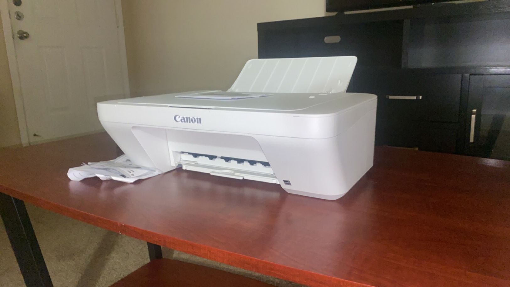 Canon Pixma MG2500 printer